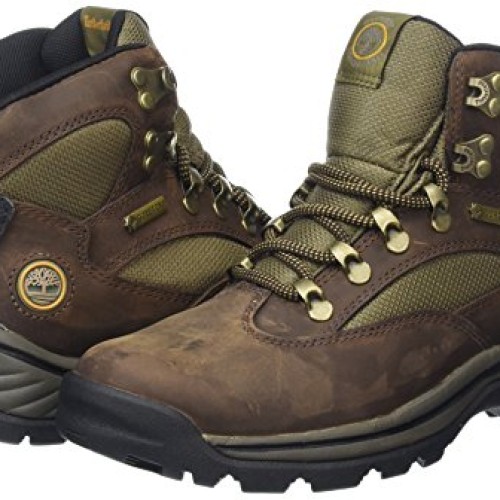 Timberland Womens Chocorua Trail Boot,Brown,9 M