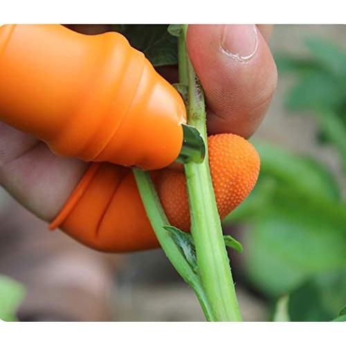 Fruit and Vegetable Picking Potted Plants Trim Silicone Thumb Knif...