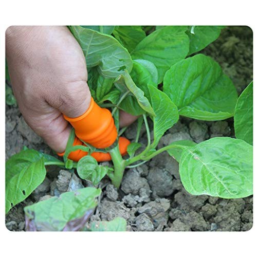 Fruit and Vegetable Picking Potted Plants Trim Silicone Thumb Knif...