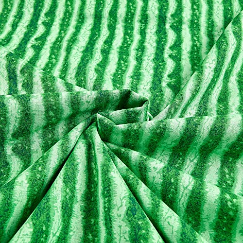 Timeless Treasures CE-240 Watermelon Rind Stripe Fabric by The Yar...