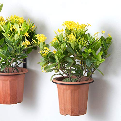 TIMESETL 5 Inch Flower Pot Holder Ring Wall Mounted, Black Metal P...
