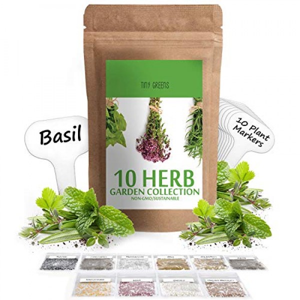 Herb Seeds Vault 10 Variety - 3000 Seeds- Heirloom Non GMO - Her...