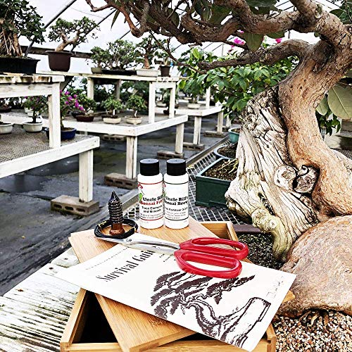 Bonsai Tree Starter Tool Kit in Bamboo Box by Tinyroots. Anti-Int...