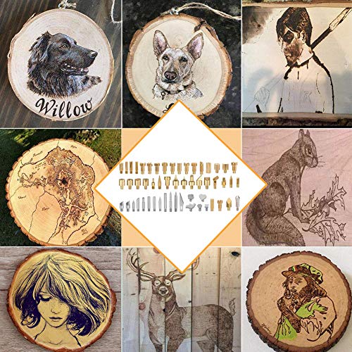 TiTa-Dong 65 Pcs Wood Burning Kits,Professional Carving/Embossing/...