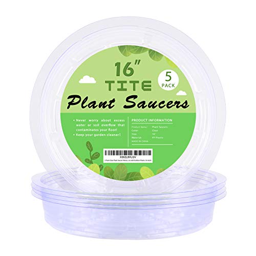 5 Pack Clear Plant Saucer Heavy Duty Sturdy Drip Trays for Indoor ...