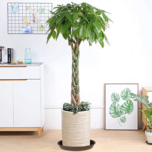 Plant Saucer 10 inch, Heavy Large Planter Durable Thicker Plastic ...