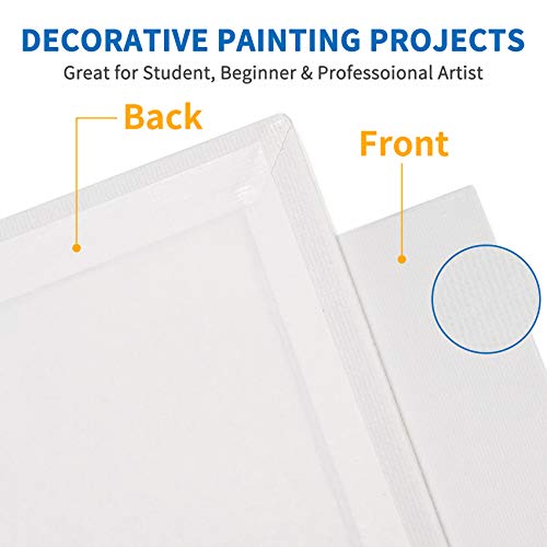 Painting Canvas Panels, 8x10, Set of 16, Artist Canvas Boards for...