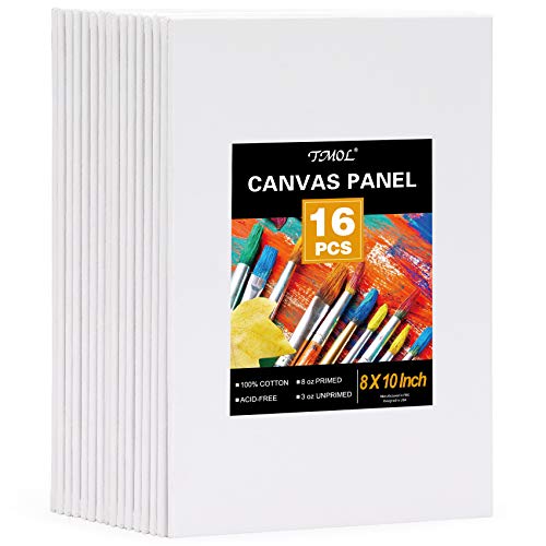 Painting Canvas Panels, 8x10, Set of 16, Artist Canvas Boards for...