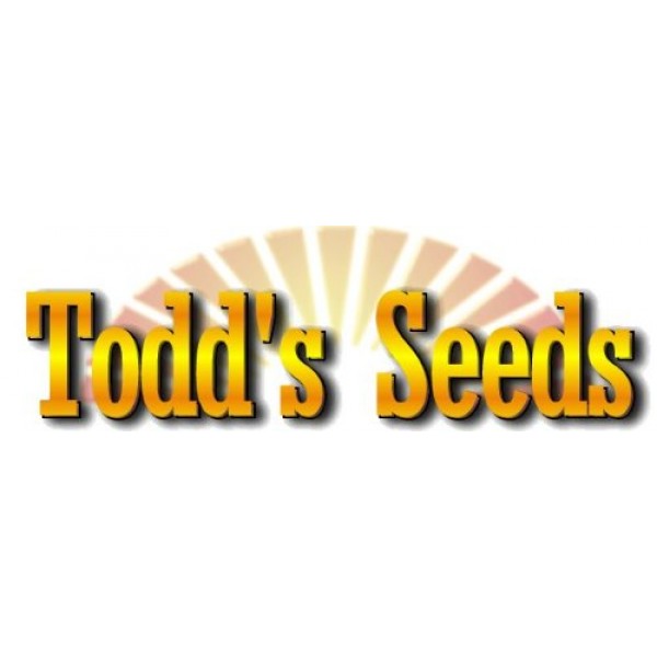 Todd's Seeds® Broccoli and Friends Sprouting Seed Mix One Pound