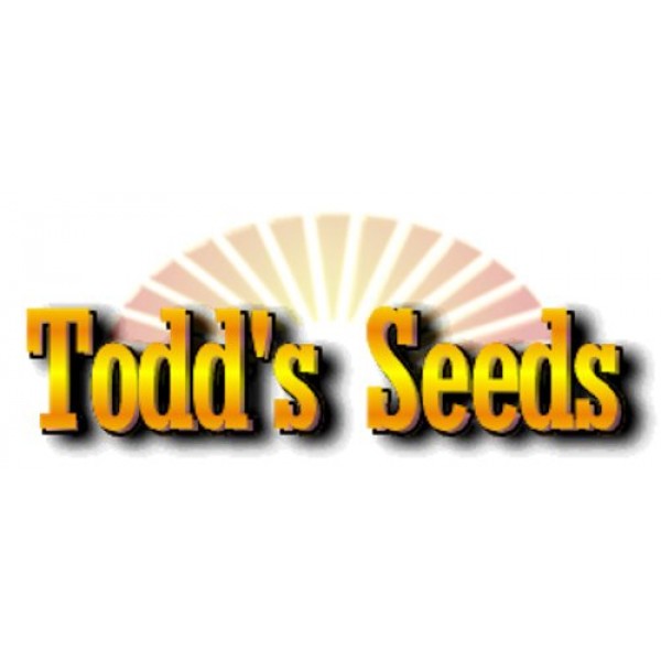 Sprouting Seeds Mung Bean 5 Pounds - Todds Seeds Misc.