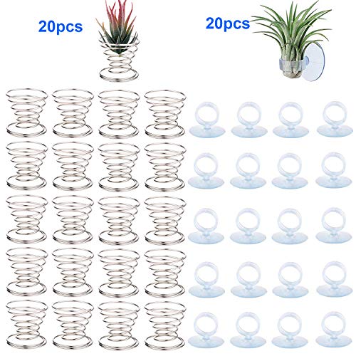40 Pack Air Plant Stand Holder Tillandsia Airplant Container with ...