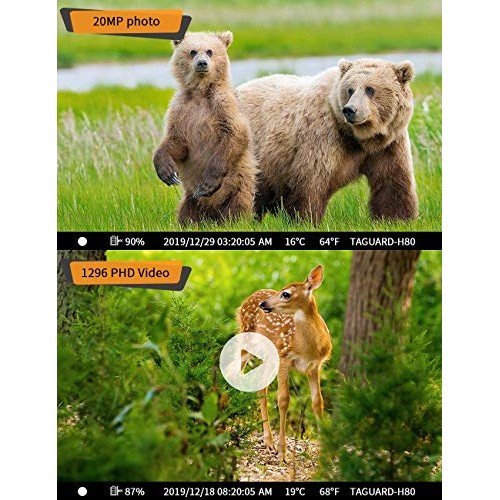 TOGUARD WiFi Trail Camera 20MP 1296P Game Camera Motion Activated ...