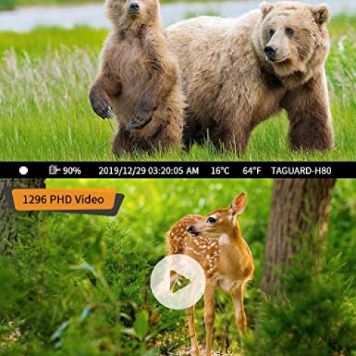 TOGUARD WiFi Trail Camera 20MP 1296P Game Camera Motion Activated ...