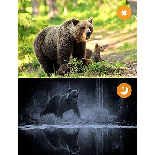 TOGUARD WiFi Trail Camera 20MP 1296P Game Camera Motion Activated ...