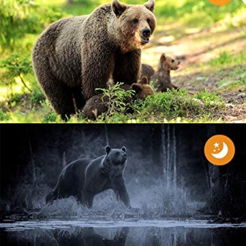 TOGUARD WiFi Trail Camera 20MP 1296P Game Camera Motion Activated ...