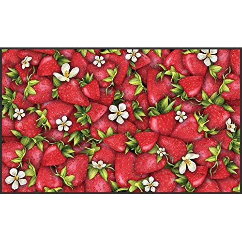 Toland Home Garden Strawberry Collage 18 x 30 Inch Decorative Floo...