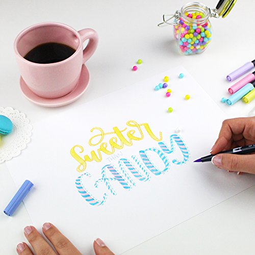 Tombow 56187 Dual Brush Pen Art Markers, Pastel, 10-Pack. Blendabl...