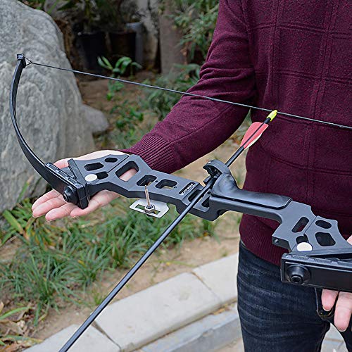 Tongtu Takedown Recurve Bow and Arrows for Adults Set 30 40 lbs Al...