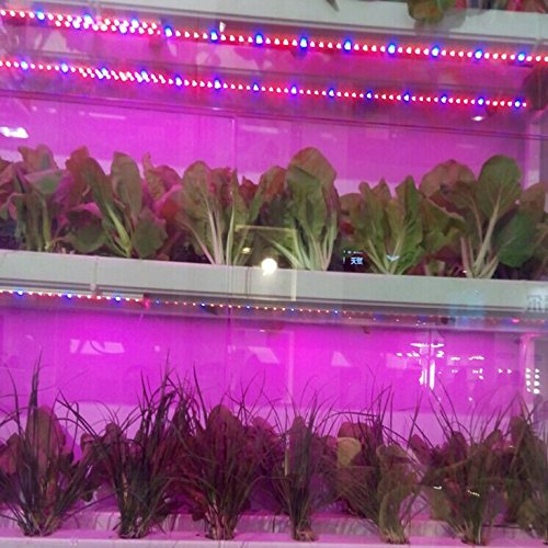 Toogod 16.4ft/5m 5050 Waterproof LED Strip Plant Growing Light Red...