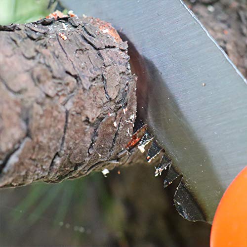 TOOLZYZ Folding Hand Saw for Tree Pruning
