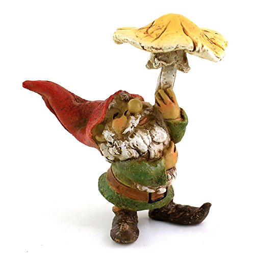 Top Collection Miniature Fairy Garden and Terrarium Garden Gnome u...