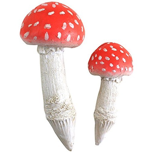Top Collection Miniature Fairy Garden and Terrarium Mushroom Picks...
