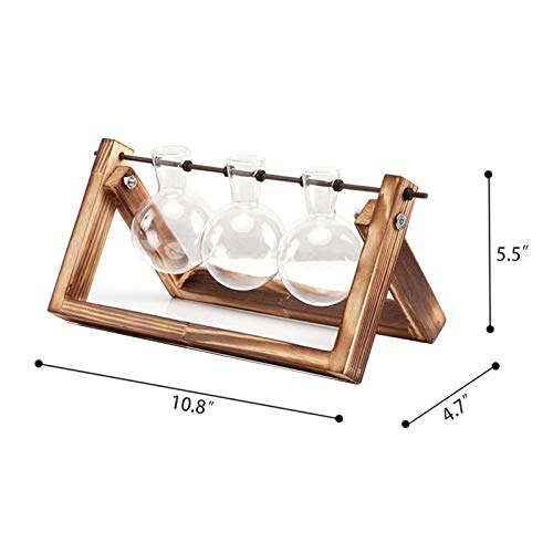 Desktop Plant Terrarium with 3 PCS Glass Air Planter Bulb Vase,Pla...