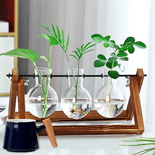 Desktop Plant Terrarium with 3 PCS Glass Air Planter Bulb Vase,Pla...