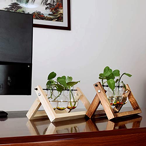 Desktop Plant Terrarium with 3 PCS Glass Air Planter Bulb Vase,Pla...