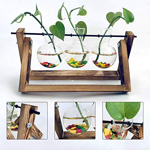 Desktop Plant Terrarium with 3 PCS Glass Air Planter Bulb Vase,Pla...