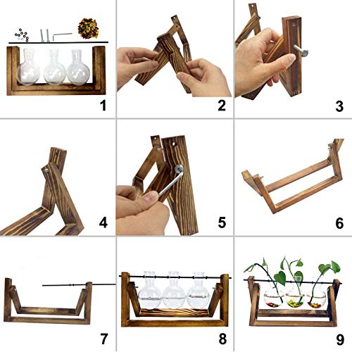 Desktop Plant Terrarium with 3 PCS Glass Air Planter Bulb Vase,Pla...