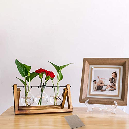 Desktop Plant Terrarium with 3 PCS Glass Air Planter Bulb Vase,Pla...