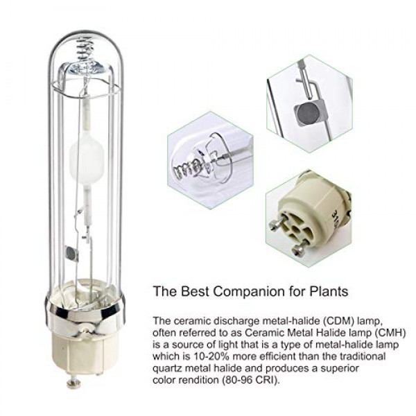TopoGrow 315W CMH CDM Grow Light Kit W/4200K Bulb& Horizontal Ball...