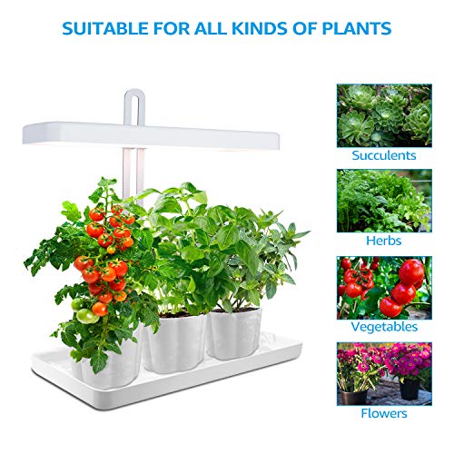 TORCHSTAR Indoor Garden Kit, Herb and Kitchen Garden Grow Light, A...