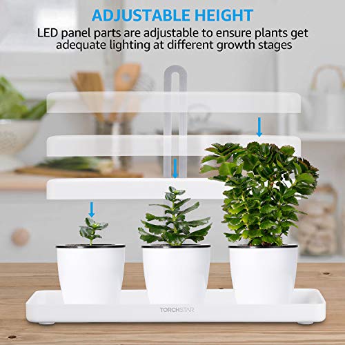 TORCHSTAR Indoor Garden Kit, Herb and Kitchen Garden Grow Light, A...