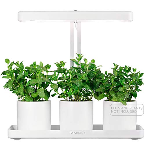 TORCHSTAR Indoor Garden Kit, Herb and Kitchen Garden Grow Light, A...