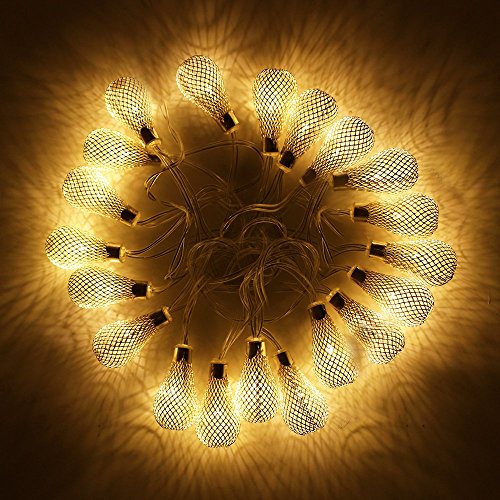 TORCHSTAR Mesh Ball Battery Operated Fairy String Lights LED Chris...