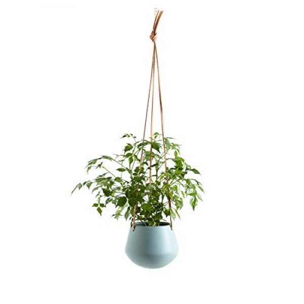 Torre & Tagus Ashbury Hanging Planter - Ceramic Plant Pot with Lea...
