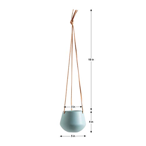 Torre & Tagus Ashbury Hanging Planter - Ceramic Plant Pot with Lea...