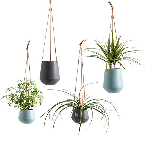 Torre & Tagus Ashbury Hanging Planter - Ceramic Plant Pot with Lea...