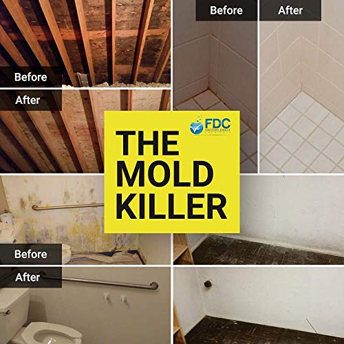 Total Solutions Lemocide | Professional Disinfecting Mildew, Virus...