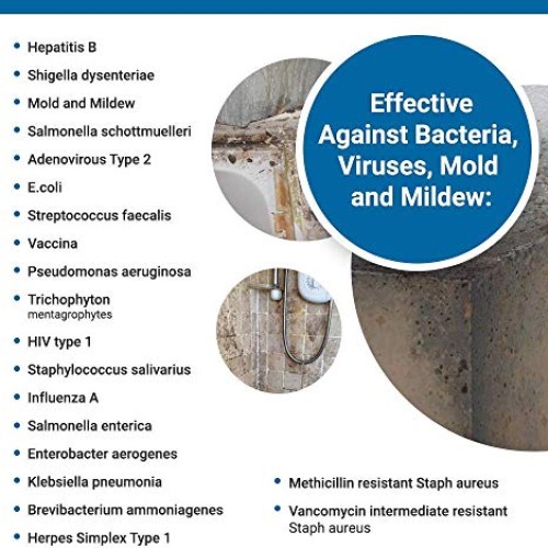 Total Solutions Lemocide | Professional Disinfecting Mildew, Virus...