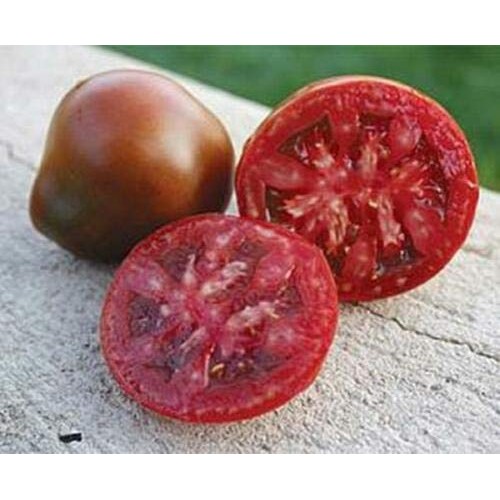 Toyensnow - Black Truffle Tomato 25 Seed