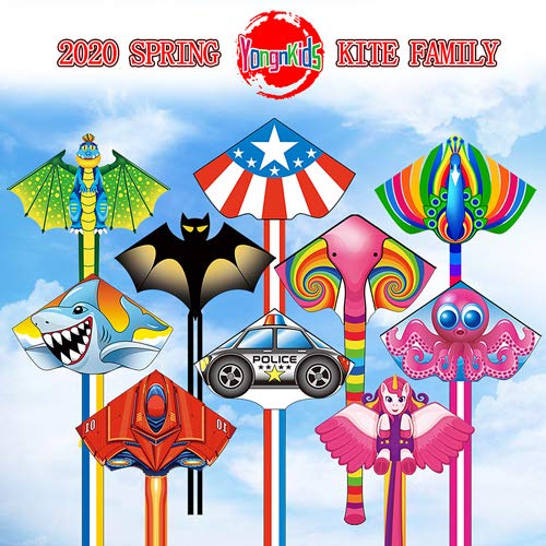 Toynspring Large Kite & Kites for Kids Adults Easy to Fly The Beac...