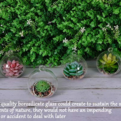 TQVAI 4 Pack Hanging Glass Globe Air Planter Terrarium Vase with 3...