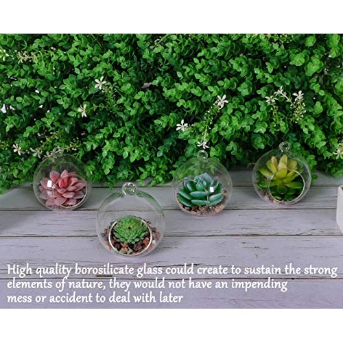 TQVAI 4 Pack Hanging Glass Globe Air Planter Terrarium Vase with 3...