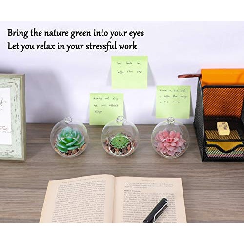 TQVAI 4 Pack Hanging Glass Globe Air Planter Terrarium Vase with 3...