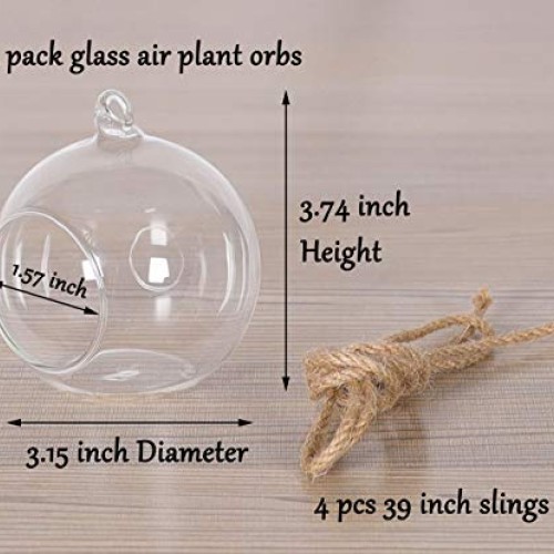TQVAI 4 Pack Hanging Glass Globe Air Planter Terrarium Vase with 3...