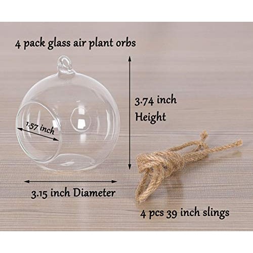 TQVAI 4 Pack Hanging Glass Globe Air Planter Terrarium Vase with 3...