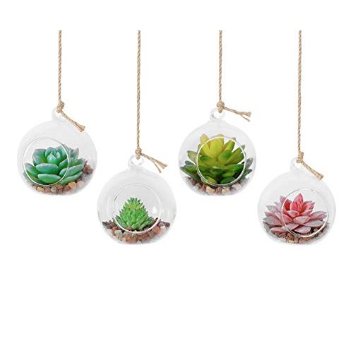 TQVAI 4 Pack Hanging Glass Globe Air Planter Terrarium Vase with 3...